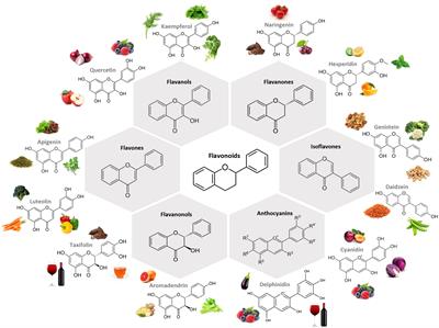 Polyphenols: immunonutrients tipping the balance of immunometabolism in chronic diseases